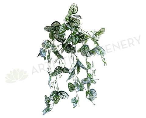 HP0083 Artificial Hanging Polka Dot / Freckle Plant 75cm | ARTISTIC GREENERY