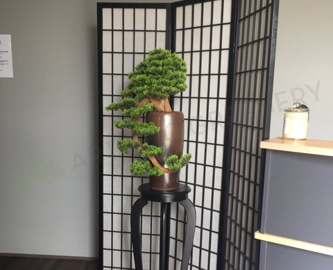 Home Salon Reception (Fremantle) - Custom-made Bonsai | ARTISTIC GREENERY