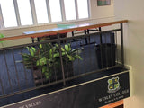 Wesley College South Perth - Artificial Plants in Planters & Pots
