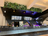 The Court Perth - Greenery Wall (Bulkhead) & Planters Next to Booth Seats