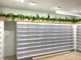 Optimal Pharmacy (Altone) - Hanging Artificial Greenery | ARTISTIC GREENERY