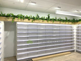 Optimal Pharmacy (Altone) - Hanging Artificial Greenery | ARTISTIC GREENERY