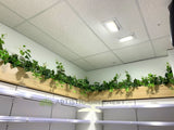 Optimal Pharmacy (Altone) - Hanging Artificial Greenery | ARTISTIC GREENERY