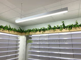 Optimal Pharmacy (Altone) - Hanging Artificial Greenery | ARTISTIC GREENERY