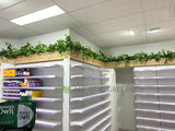 Optimal Pharmacy (Altone) - Hanging Artificial Greenery | ARTISTIC GREENERY