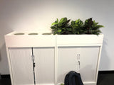 SAGE WA - Office Silk Dieff Plants for Tambour Units
