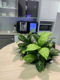 Insight Enterprise - Mixed Artificial Plants for Hanging Baskets & Built-in Planters | ARTISTIC GREENERY