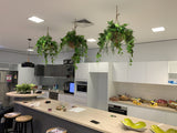 Insight Enterprise - Mixed Artificial Plants for Hanging Baskets & Built-in Planters | ARTISTIC GREENERY