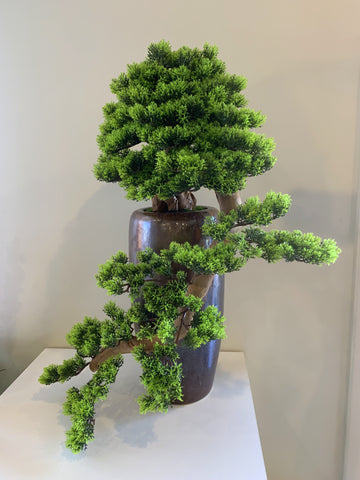 fake large bonsai tree BON001 Artificial High Quality Bonsai / Fake Bonsai 60-70cm Tall Australia