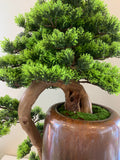 BON001 Artificial High Quality Bonsai / Fake Bonsai 60-70cm Tall Australia | ARTISTIC GREENERY