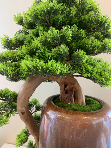 buy bonsai tree australia BON001 Artificial High Quality Bonsai / Fake Bonsai 60-70cm Tall Australia