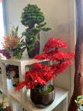 BON001 Artificial High Quality Bonsai / Fake Bonsai 60-70cm Tall Australia | ARTISTIC GREENERY