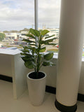 Essense of Australia (Osborne Park) - Mixture of Artificial Trees in Pots