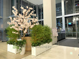 Olympic Tokyo 2021 (Perth City) - Perth WA Event Decorations Supplier | ARTISTIC GREENERY