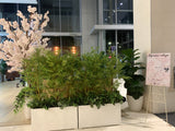 Olympic Tokyo 2021 (Perth City) - Perth WA Event Decorations Supplier | ARTISTIC GREENERY