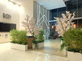 Olympic Tokyo 2021 (Perth City) - Perth WA Event Decorations Supplier | ARTISTIC GREENERY