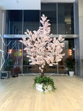 For Hire - Light Pink Blossom Tree 480cm (Code: HI0040-480) Blossom Tree Hire for Event and Party WA Perth | ARTISTIC GREENERY