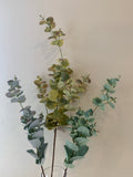 LEA0047 Eucalyptus Foliage 3 Styles (Spring & Autumn)