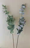 LEA0047 Eucalyptus Foliage 3 Styles (Spring & Autumn)