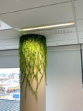 Schlumberger Australia (Perth) - artificial creepers climbing plants for column pillar | ARTISTIC GREENERY