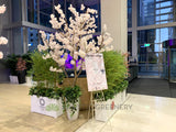 Olympic Tokyo 2021 (Perth City) - Perth WA Event Decorations Supplier | ARTISTIC GREENERY