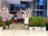 Olympic Tokyo 2021 (Perth City) - Perth WA Event Decorations Supplier | ARTISTIC GREENERY