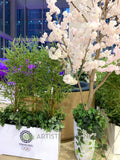 Olympic Tokyo 2021 (Perth City) - Perth WA Event Decorations Supplier | ARTISTIC GREENERY
