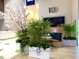 For Hire - Artificial Bamboo Plants in Planter Box (Code: HI0041)