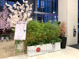 Olympic Tokyo 2021 (Perth City) - Perth WA Event Decorations Supplier | ARTISTIC GREENERY