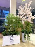 Olympic Tokyo 2021 (Perth City) - Perth WA Event Decorations Supplier | ARTISTIC GREENERY