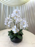 FA1081 - Elegant White Orchid Arrangement 75cm Tall