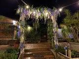 For Hire - Wisteria Arch "Bridgerton Style" for Home Wedding (Code: HI0042) Meg & Josh | ARTISTIC GREENERY