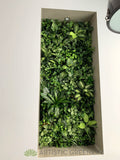 Home Interior Design - Made-to-order Vertical Garden for Wall Recess next to Stairs | ARTISTIC GREENERY