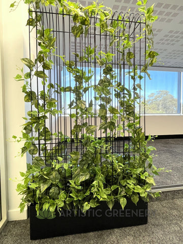 artificial climbing plants for trellis Edith Cowan University (ECU) Joondalup & Mt Lawley Campus - Artificial Climbing Plants for Planters / Potted Plants