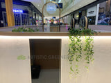 Bang on Brows Booragoon - Greenery Decoration for Kiosk | ARTISTIC GREENERY