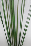 DS0027 Grass Bunch 125cm Green zoom