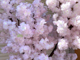 T0139HD Faux Blossom Tree 240cm (High Density) Light Pink | ARTISTIC GREENERY