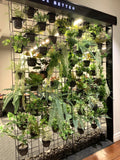 Bonfire - Vertical Screen with Artificial Plants