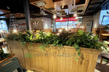 TGI Fridays Joondalup- Artificial Plants for Suspended Planters, Built-in Planters & Pot Plants | ARTISTIC GREENERY - Perth Restaurant Fitouts
