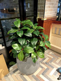 TGI Fridays Joondalup- Artificial Plants for Suspended Planters, Built-in Planters & Pot Plants | ARTISTIC GREENERY - Perth Restaurant Fitouts