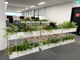 Metso Outotect (West Perth) - Artificial Plants for Freestanding & Built-in Planters Throughout the Office | ARTISTIC GREENERY