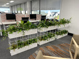 Metso Outotect (West Perth) - Artificial Plants for Freestanding & Built-in Planters Throughout the Office | ARTISTIC GREENERY