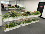 Metso Outotect (West Perth) - Artificial Plants for Freestanding & Built-in Planters Throughout the Office | ARTISTIC GREENERY