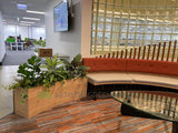 Metso Outotect (West Perth) - Artificial Plants for Freestanding & Built-in Planters Throughout the Office | ARTISTIC GREENERY