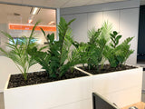 Shaw and Partners Perth - Artificial ZZ Plants & Areca Palm for Tambour Units | ARTISTIC GREENERY