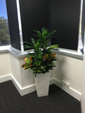 My Leave - Potted Plants and Mixed Plants for Tambour Units