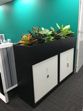 My Leave - Potted Plants and Mixed Plants for Tambour Units