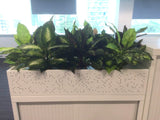 Aurora - Office Silk Dieff Plants for Tambour Units