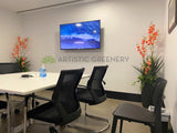 Metso Outotect (West Perth) - Artificial Plants and Trees Throughout the Office | ARTISTIC GREENERY