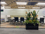 Artificial Bird of Paradise Plants in Planter Box for Office | ARTISTIC GREENERY